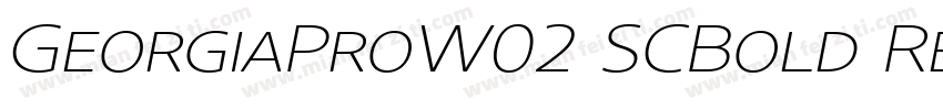 GeorgiaProW02 SCBold Regular字体转换